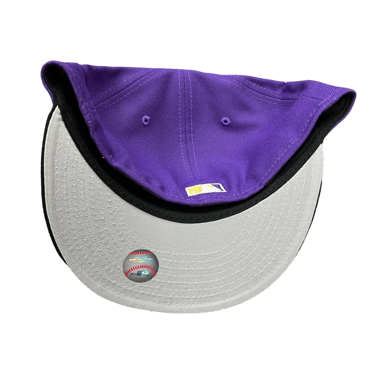Astros Purple/Black Hat