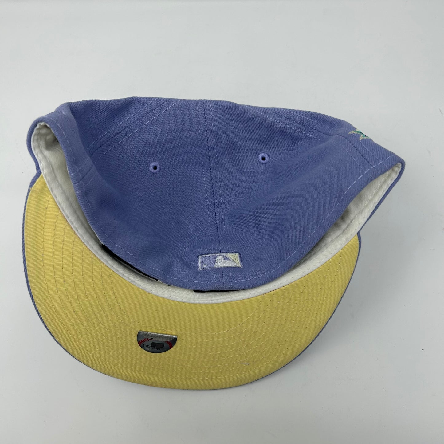 Houston Astros “Blue/Purple” Hat